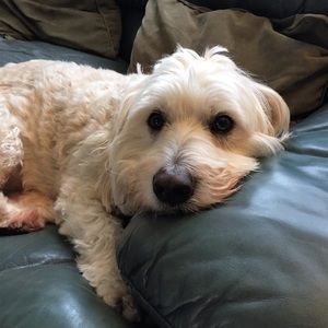 Meet your Posher, Marilyn